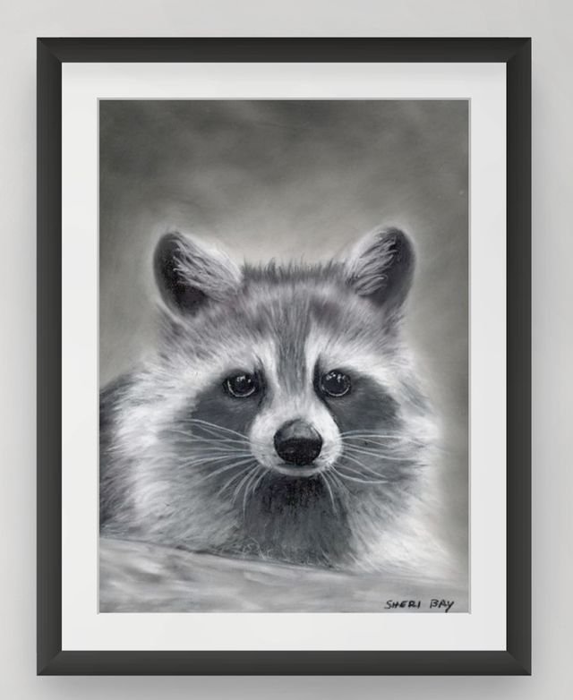 raccoon-small (7).jpg