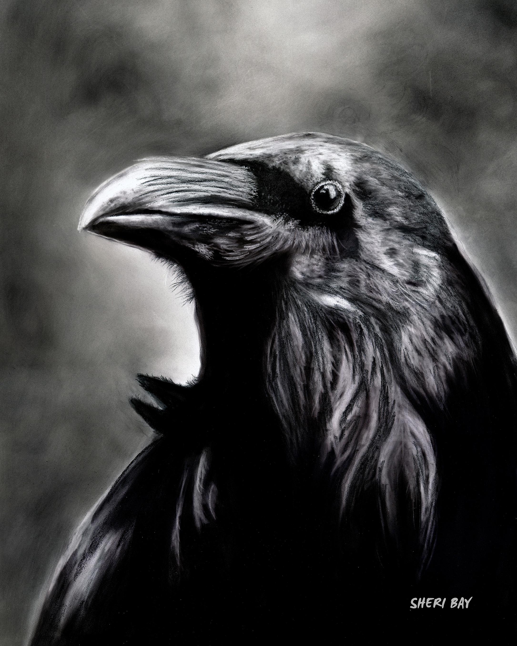 Raven.web.png