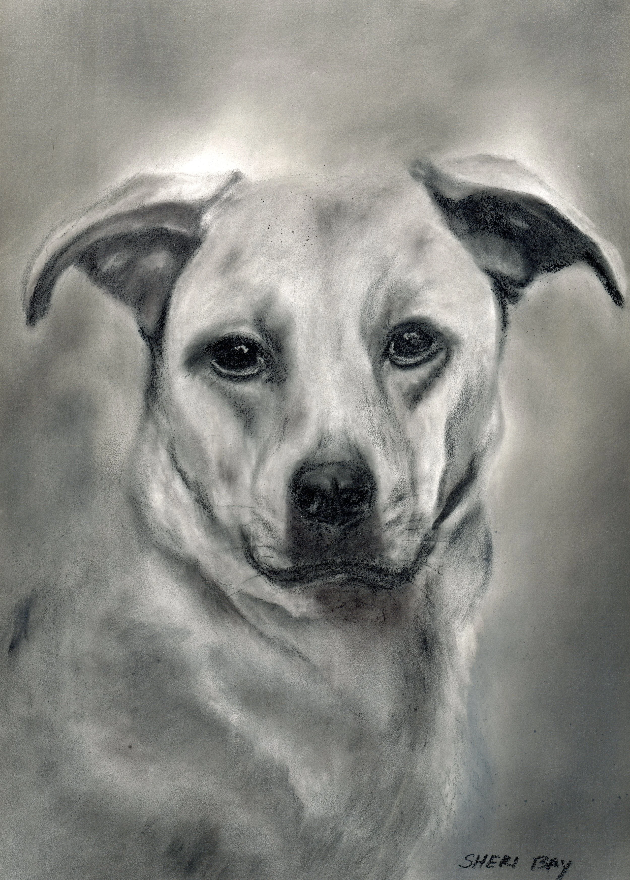 Charcoal on panel