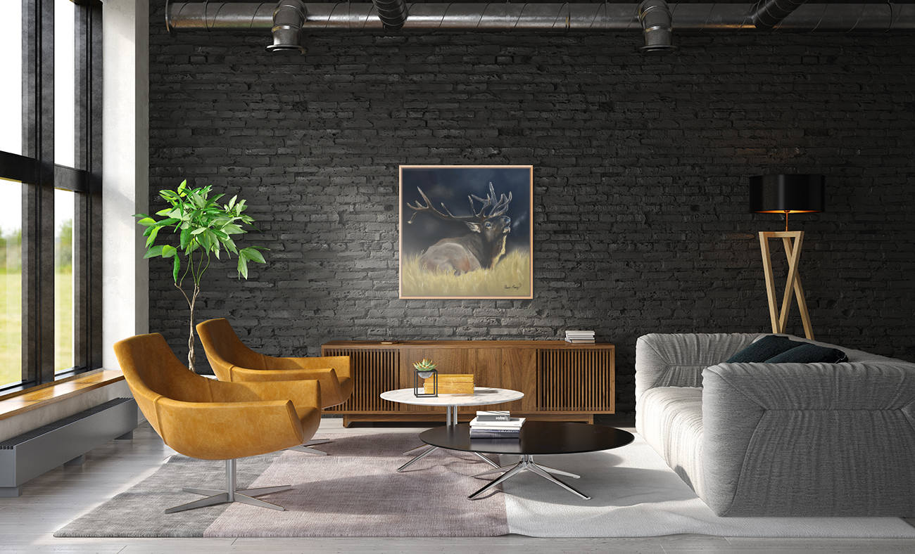 2594897-38x38 (2).jpg