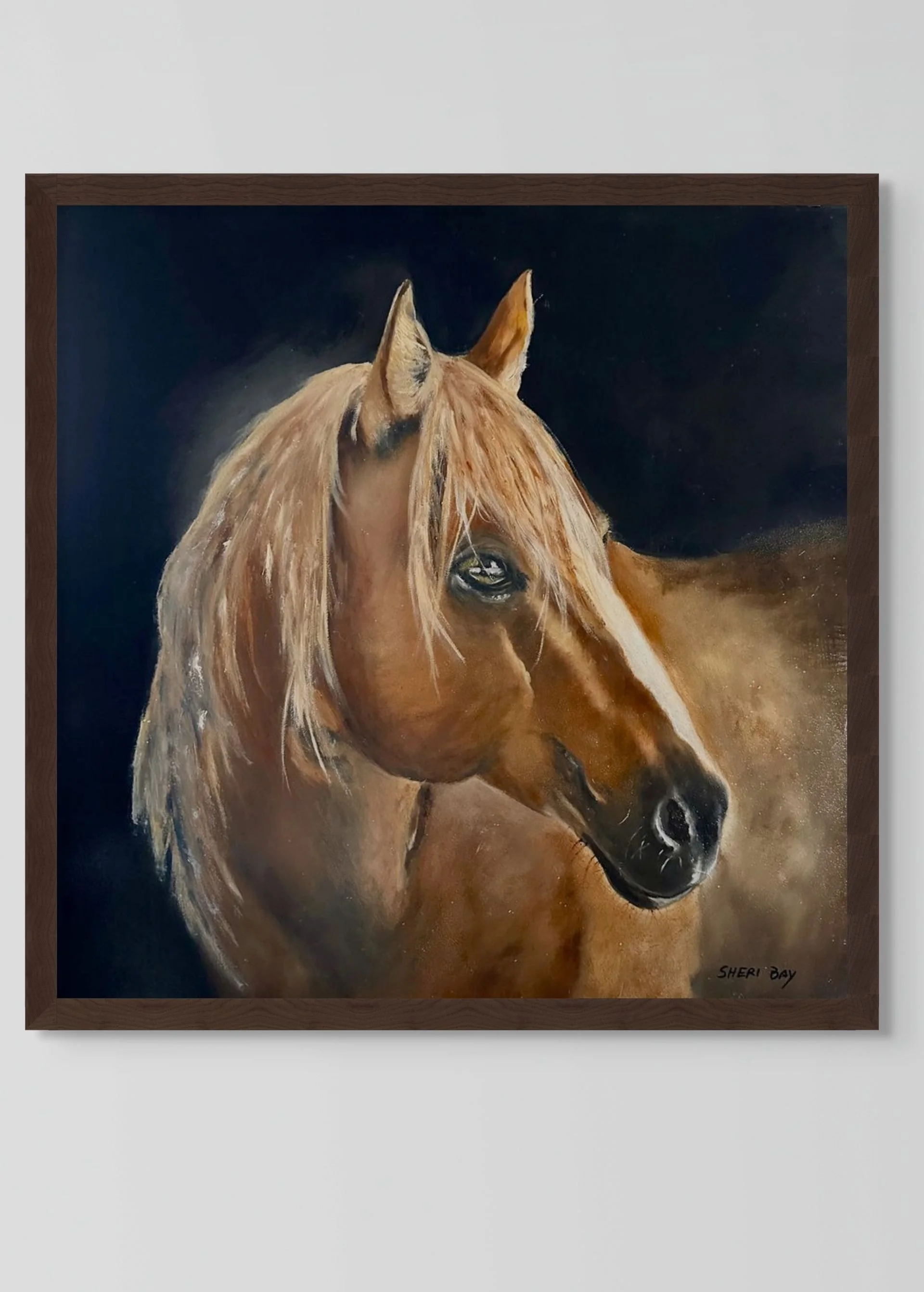 plain-medium (2).jpg