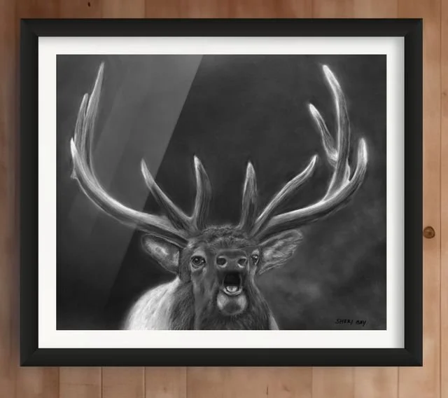 elk.web-small (1).jpg