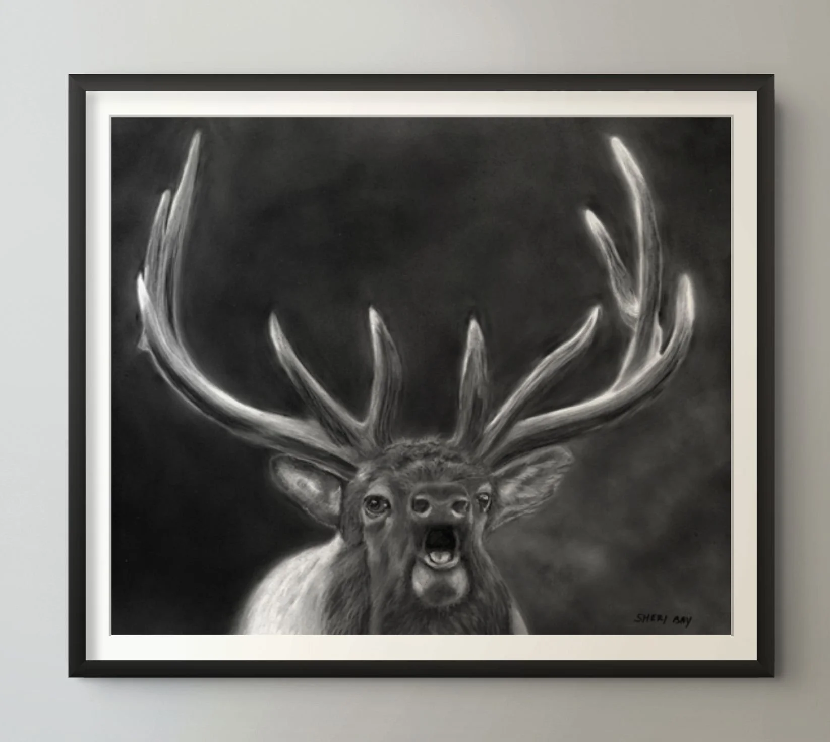 elk.web-custom.jpg