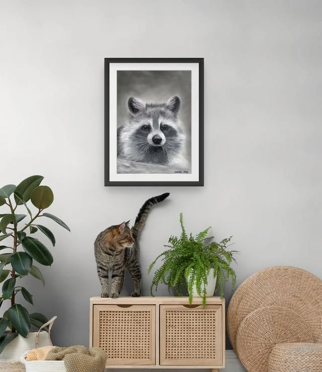 raccoon-small (6).jpg