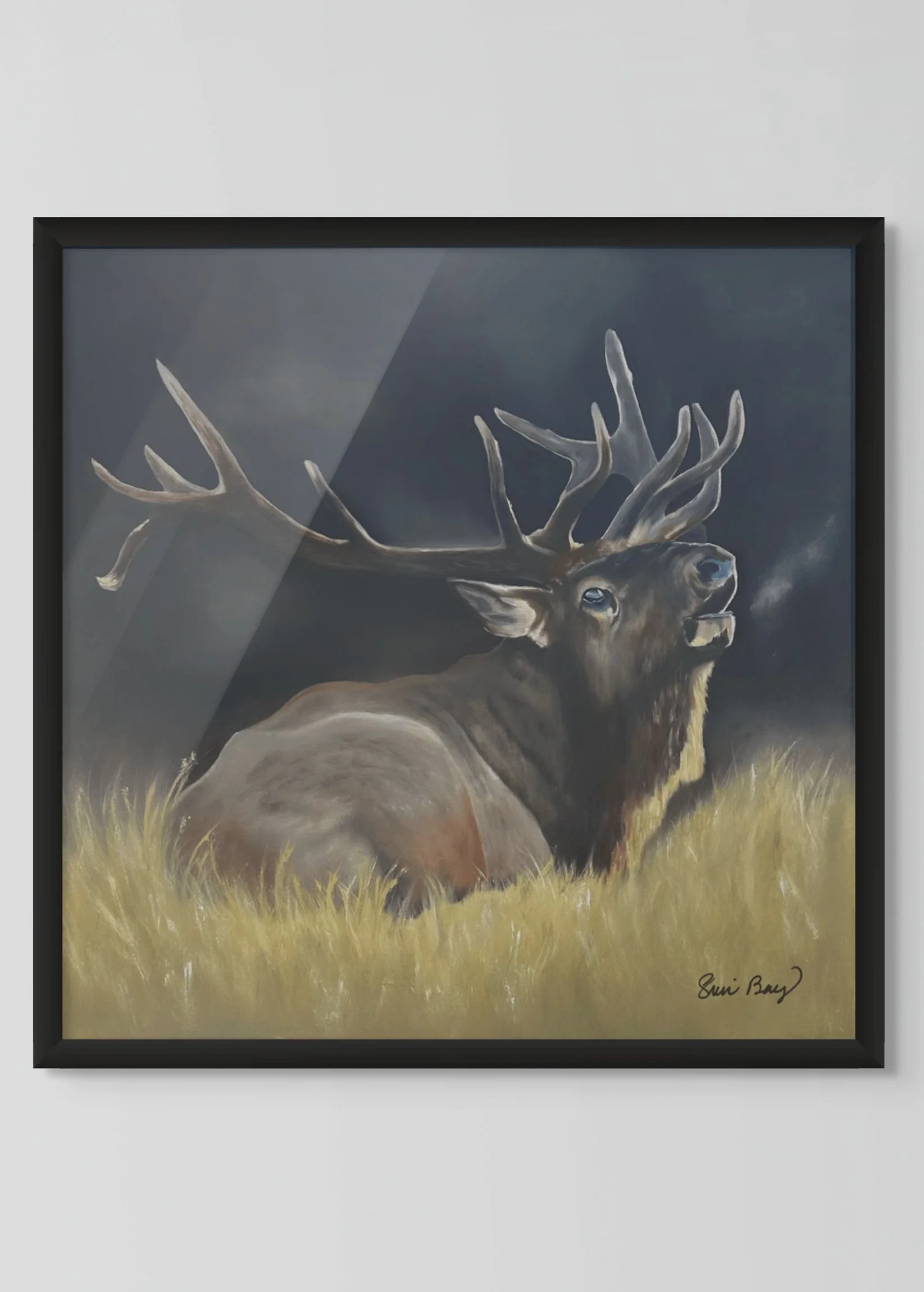 plain-custom (2).jpg