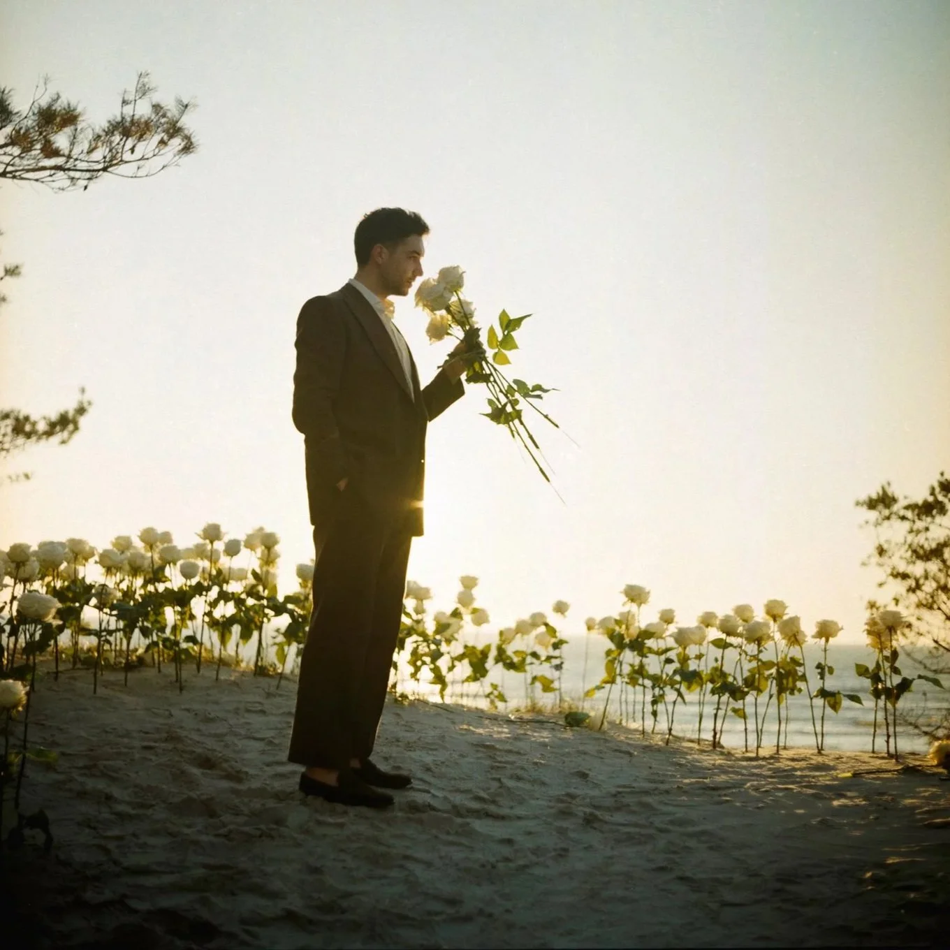 A man in a suit holding white roses stands on a beach at sunset, surrounded by white flowers and trees.