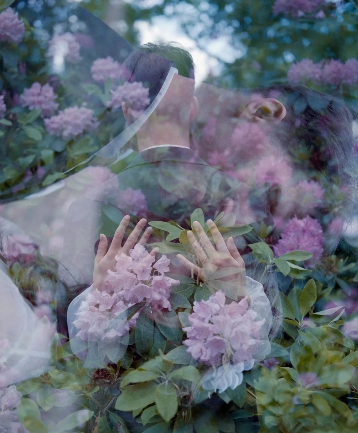 A couple sharing a kiss behind a glass window with pink flowers and green leaves in the foreground.