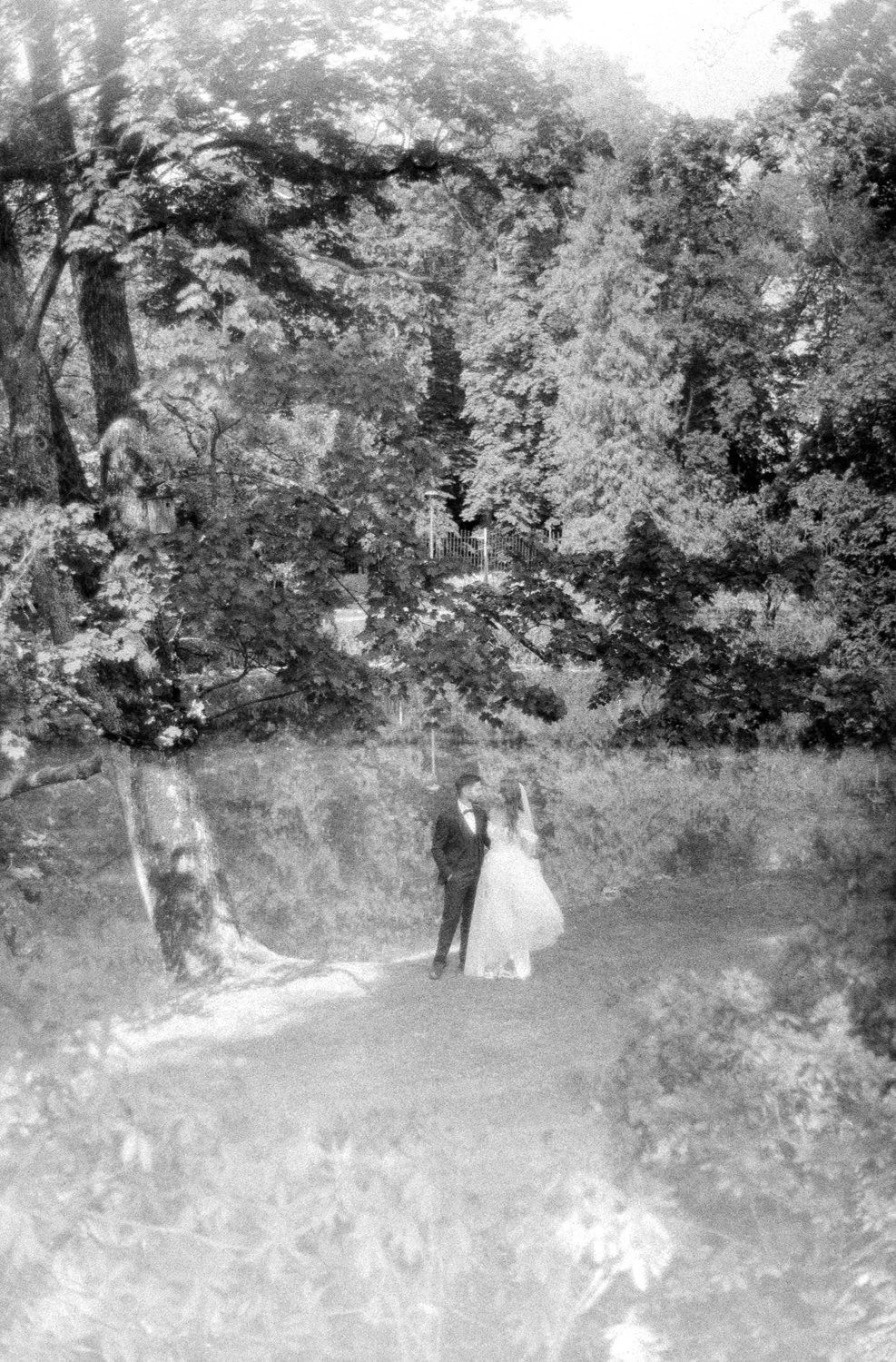 Black and white photo of a bride and groom standing under a large tree in a park or garden.