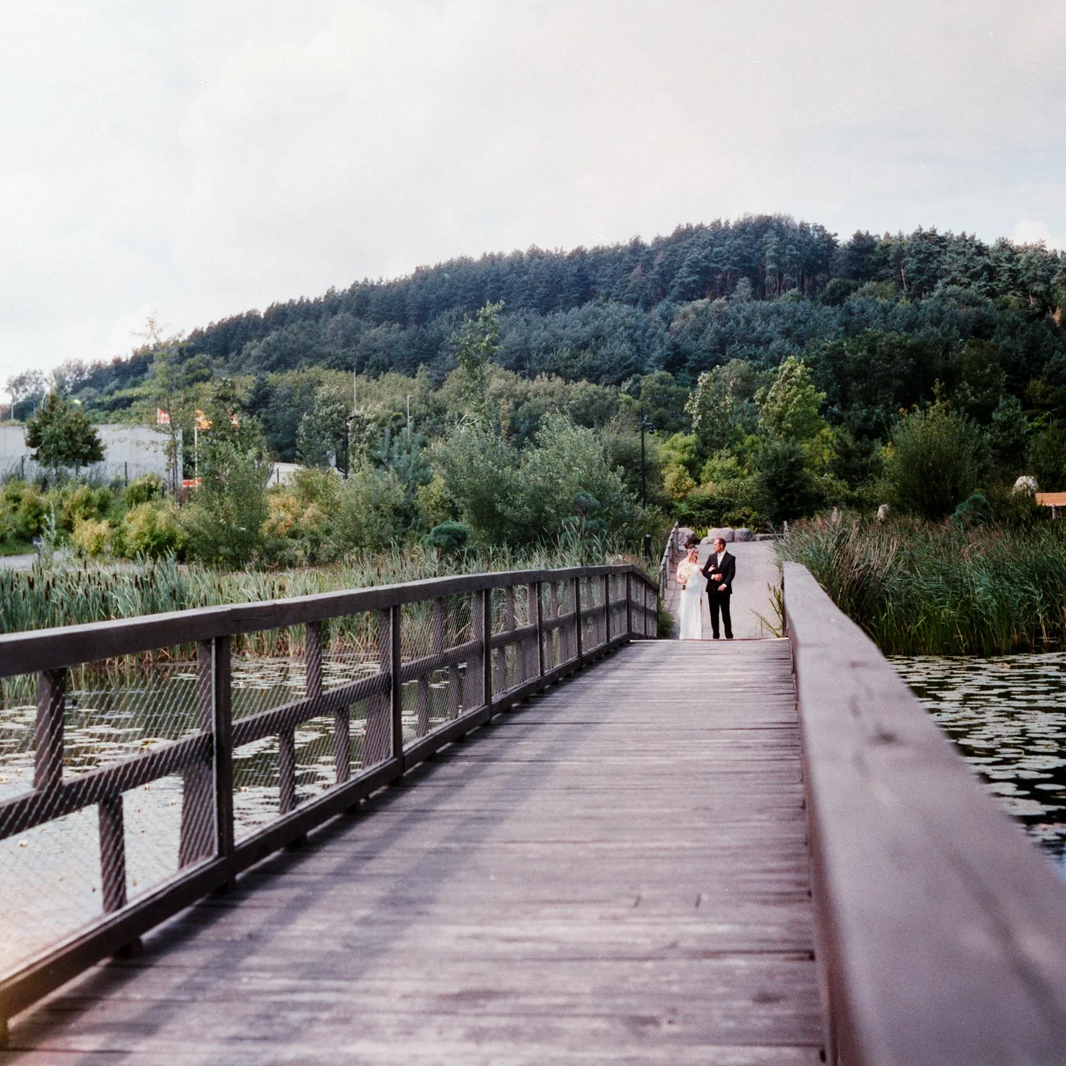 A couple dressed in wedding attire walking on a wooden bridge surrounded by nature and trees with a mountain in the background.