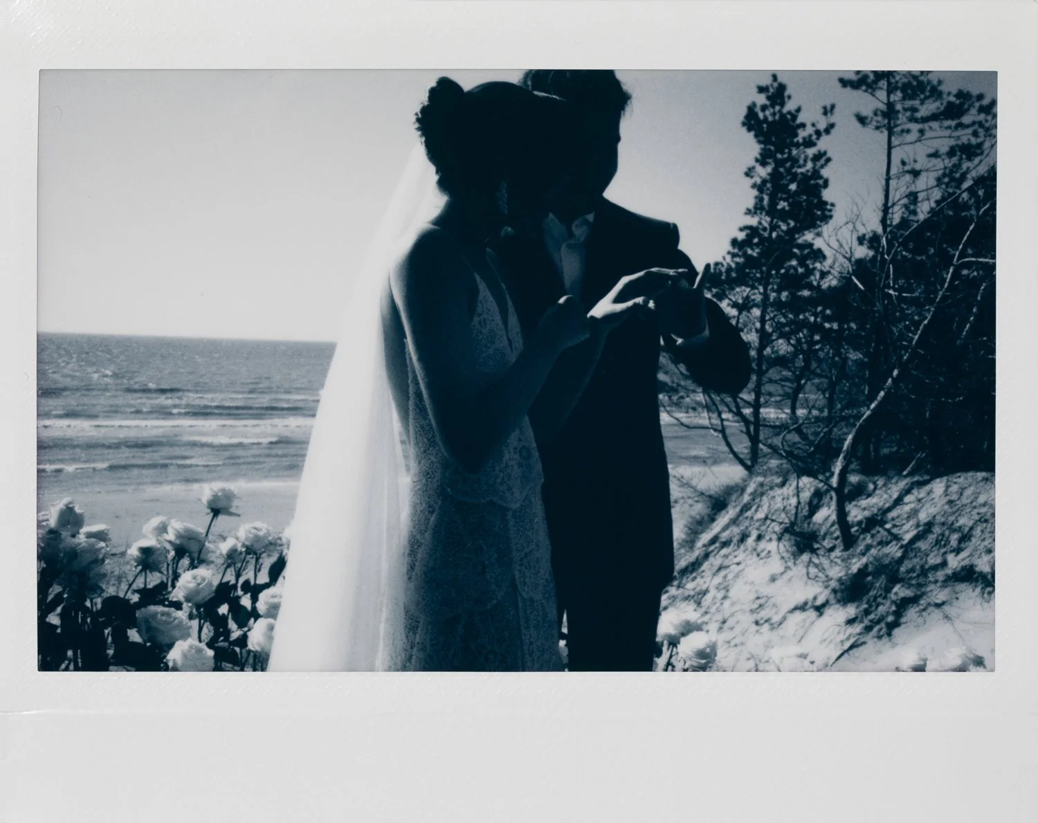 Silhouette of a bride and groom standing by the beach, with flowers and trees in the background, during sunset or sunrise.