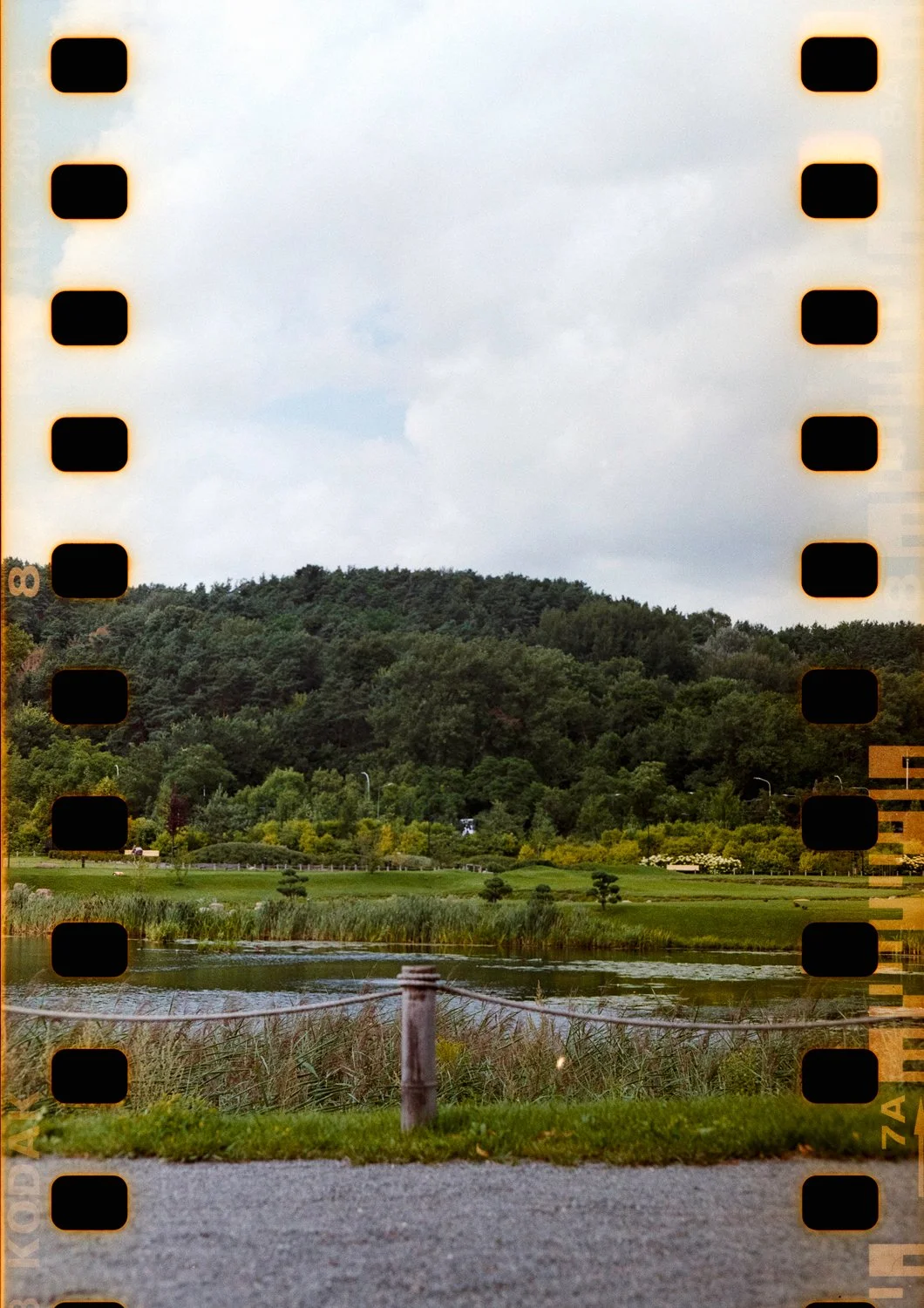 Scene of a park with a small pond, lush green trees, and a hill in the background under a cloudy sky.