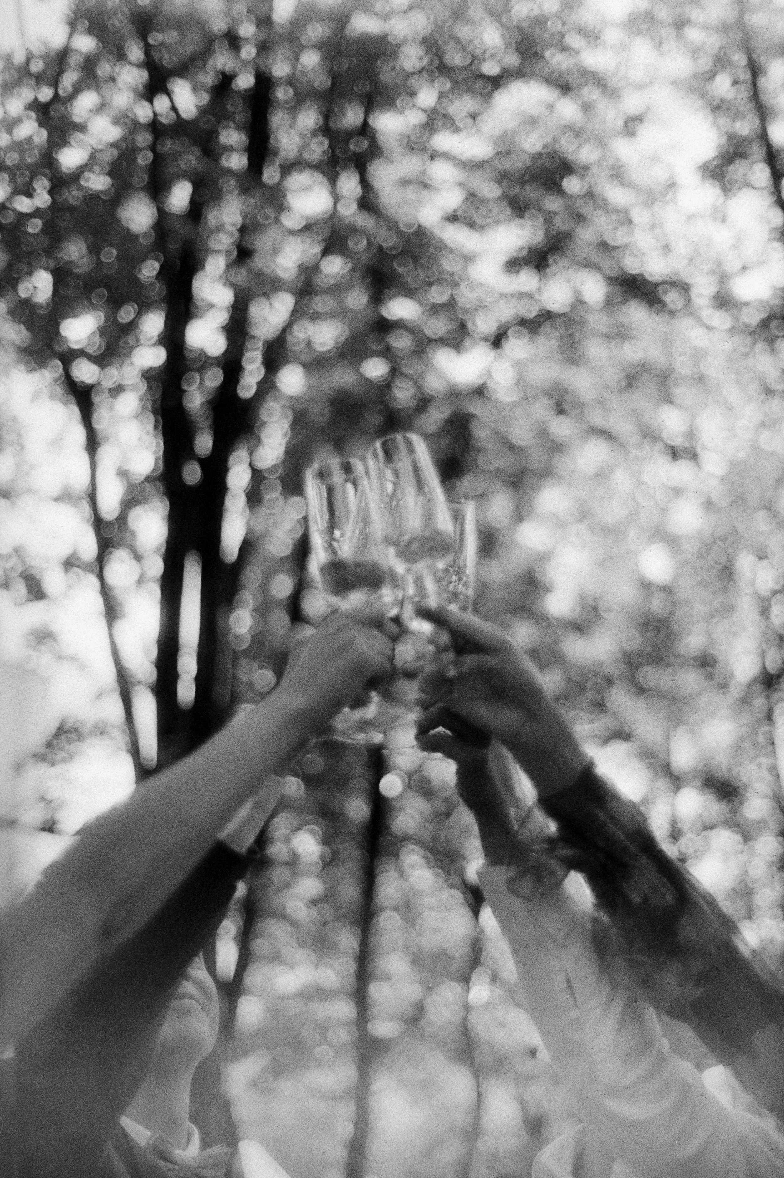People raising glasses in a toast outdoors with trees and sunlight in the background.