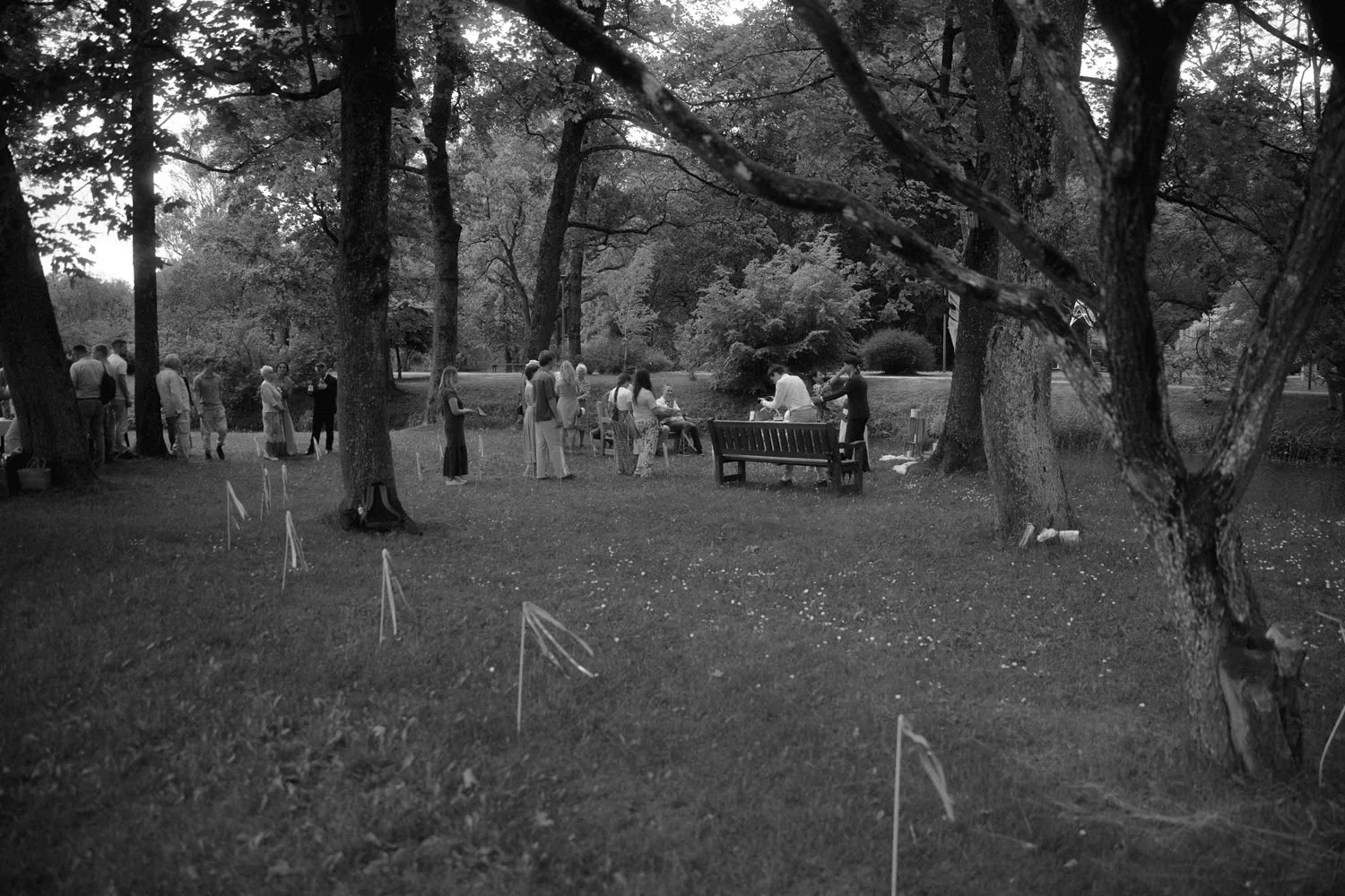 People gathered in a park under trees, some standing and some sitting on benches, with markers and cords on the grass.