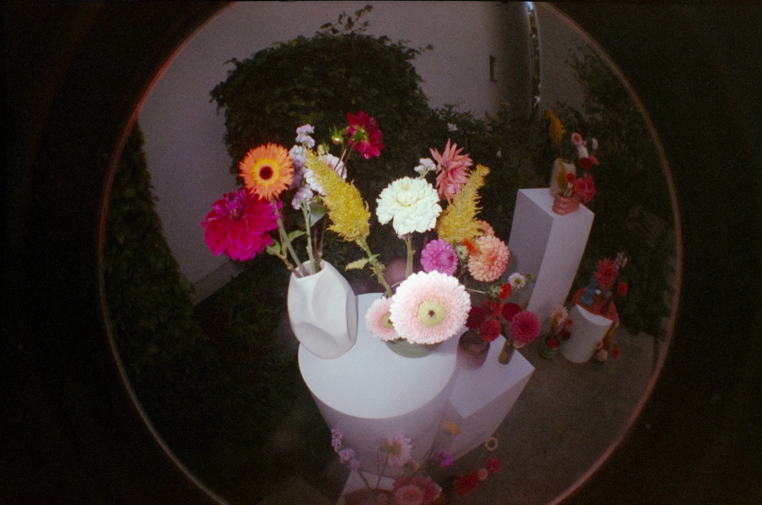 Arrangement of colorful flowers in white vases and pedestals, displayed outdoors.