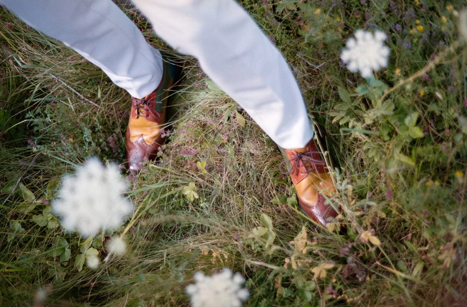 Person wearing brown leather shoes, white trousers, standing in a field with grass and white wildflowers.