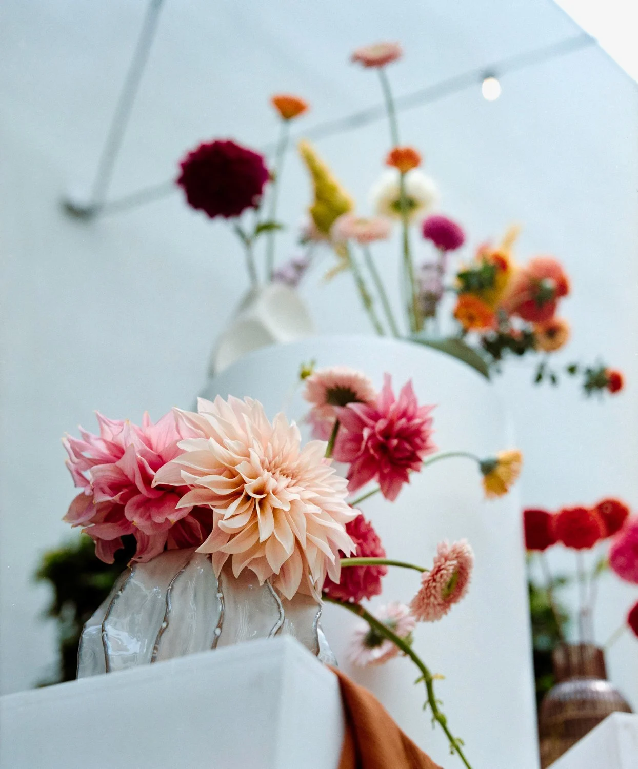 Close-up of a pink dahlia flower in a white textured vase, with a background of various other colorful flowers on a white display.
