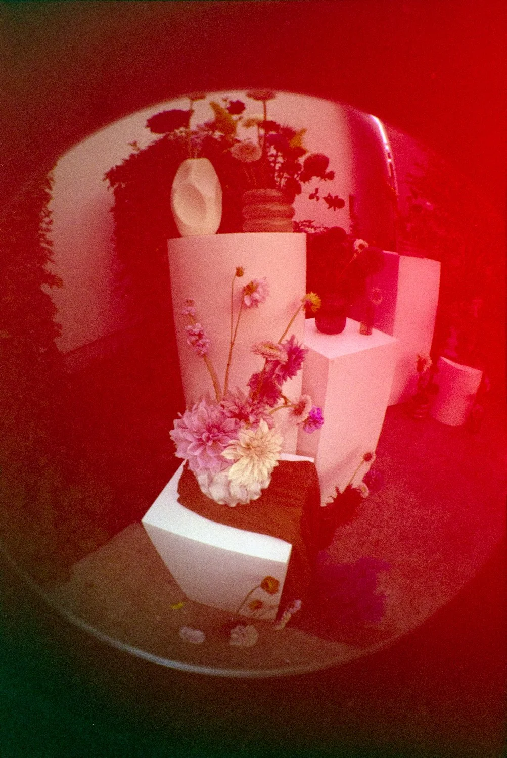 A display of various vases and flower arrangements on white and dark stands, with a mirror background reflecting the objects and some greenery, illuminated by red and pink lighting.
