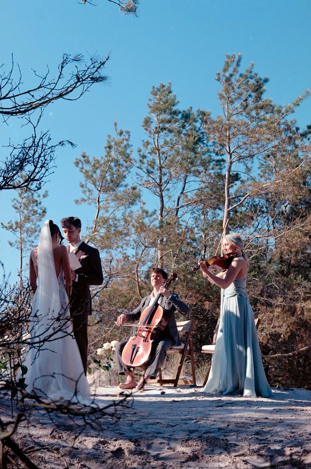 A wedding ceremony taking place outdoors on a sandy area with a couple exchanging vows, accompanied by a string quartet of two women and one man playing violin and cello, with trees in the background and a clear blue sky.