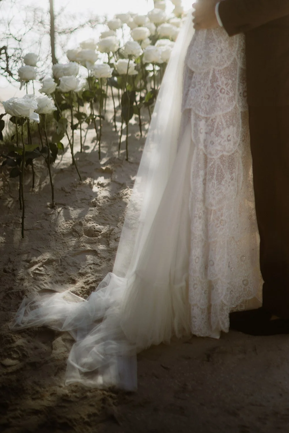 Close-up of a bride and groom standing on sandy ground near white roses, with the bride’s lace dress and veil visible and sunlight backlighting the scene.