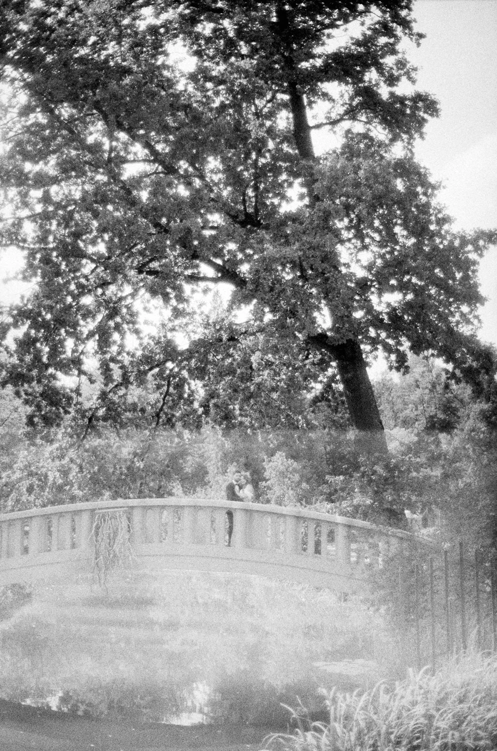 A black-and-white photo of a large tree with dense foliage and a person standing on a small bridge beneath it, next to a water feature in a park.