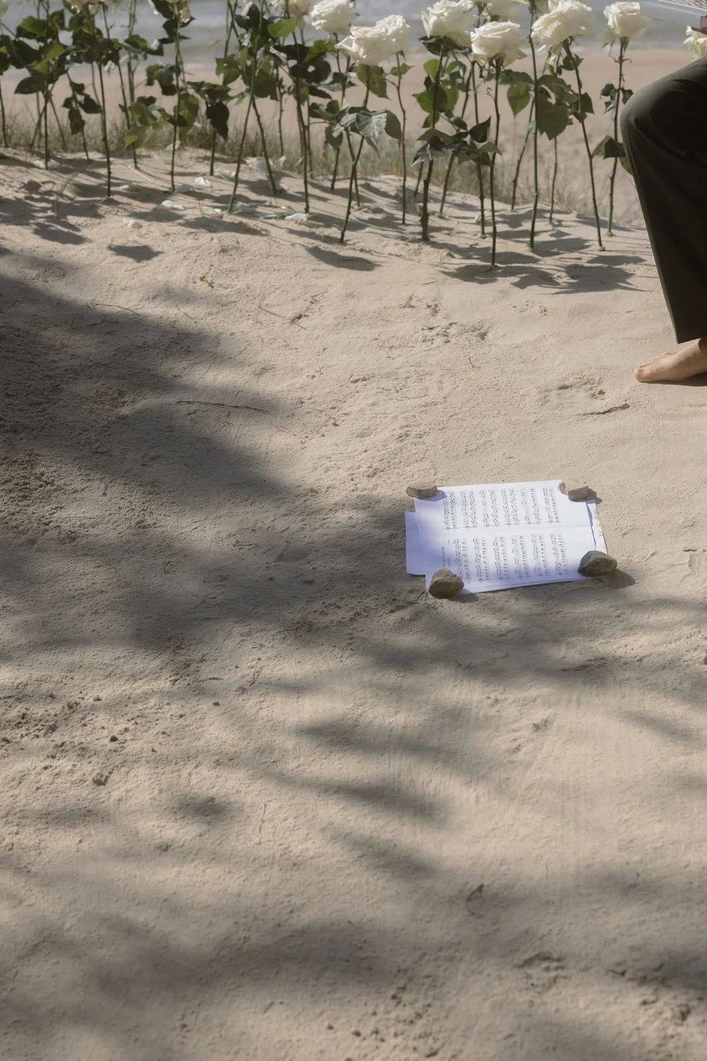 A piece of paper with handwritten notes is taped to the ground with four rocks at each corner. The paper is placed on sandy soil with shadows cast across it. In the background, there are young plants with green leaves growing in rows.