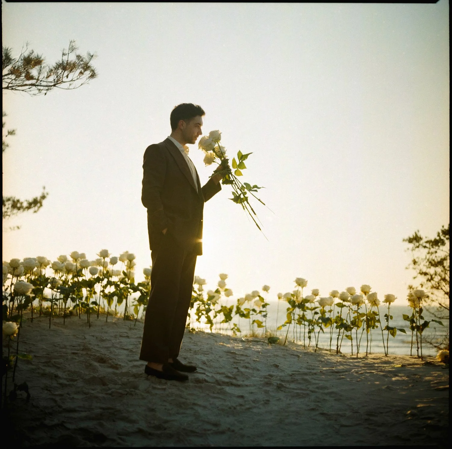 A groom in a suit holding white roses on a beach at sunset, surrounded by white flowers.