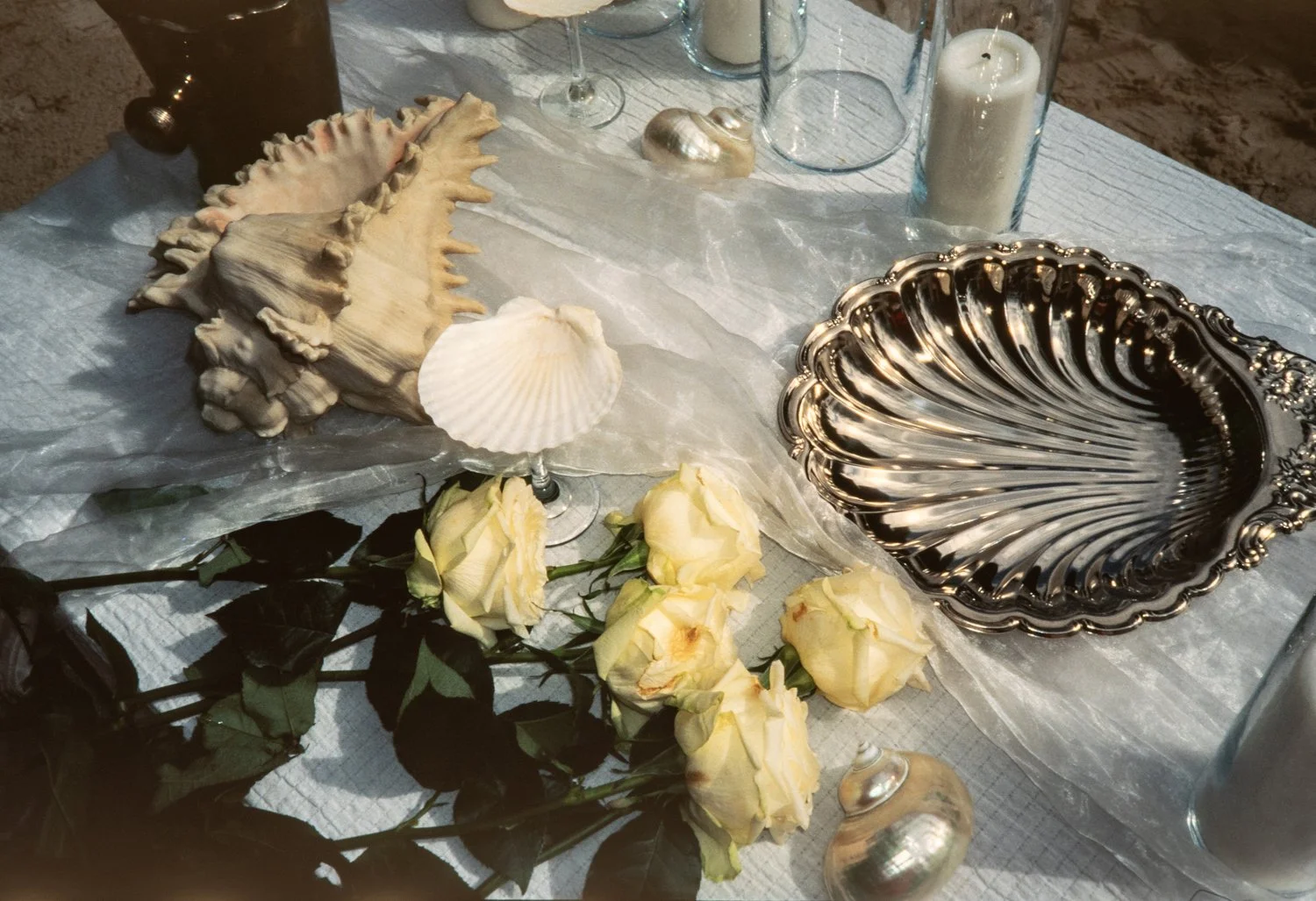 Decorative table with large seashell dishes, white roses, candles, and glassware on a white tablecloth.