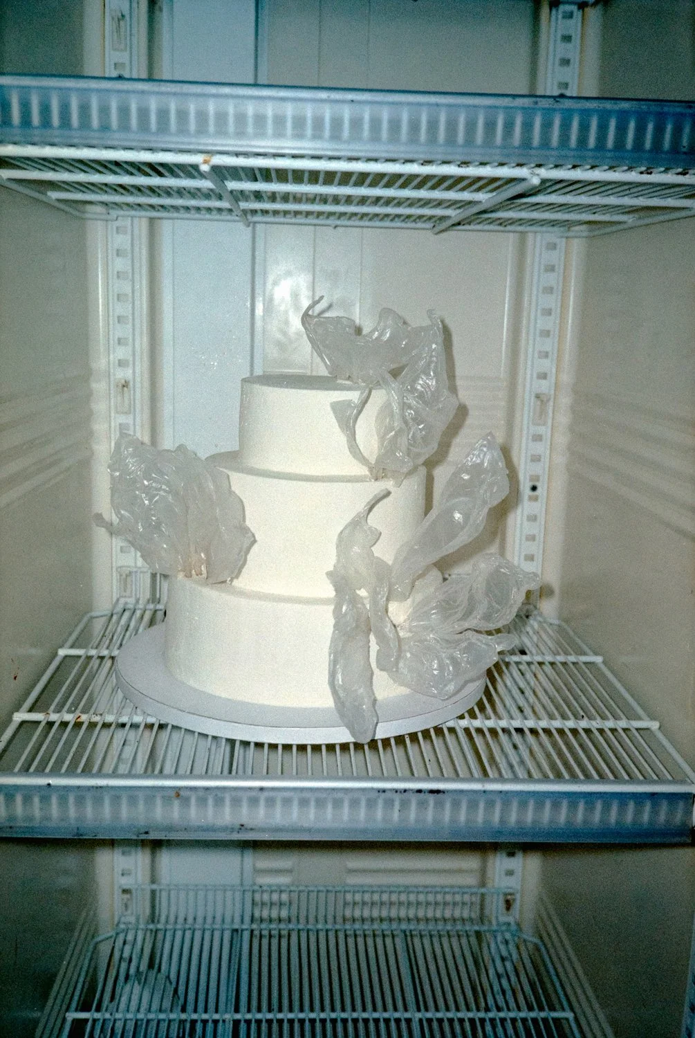 A white, two-tiered cake with white icing and decorative clear plastic pieces on a white cake board inside an empty freezer.