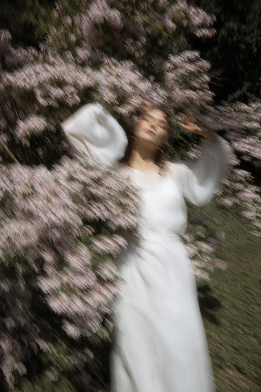 A woman in a white dress lying among pink flowering bushes, with a blurred motion effect.