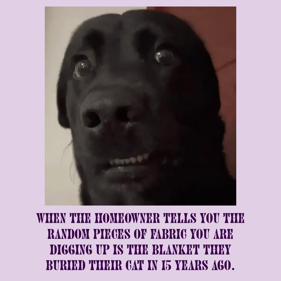 Building a deck is a literal emotional rollercoaster, besties. 🎢 From the trauma of unearthing ancient pet blankets (yes, that really happened 😳) to the absolute sticker shock of composite lumber... we&rsquo;ve felt it all. 😂

Please, I am begging