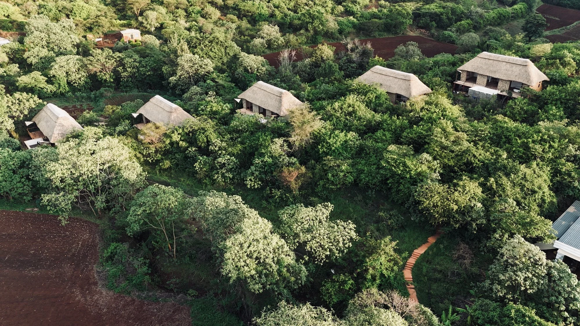 Aerial view of lush green forest with several thatched-roof houses and a paved pathway amid trees.