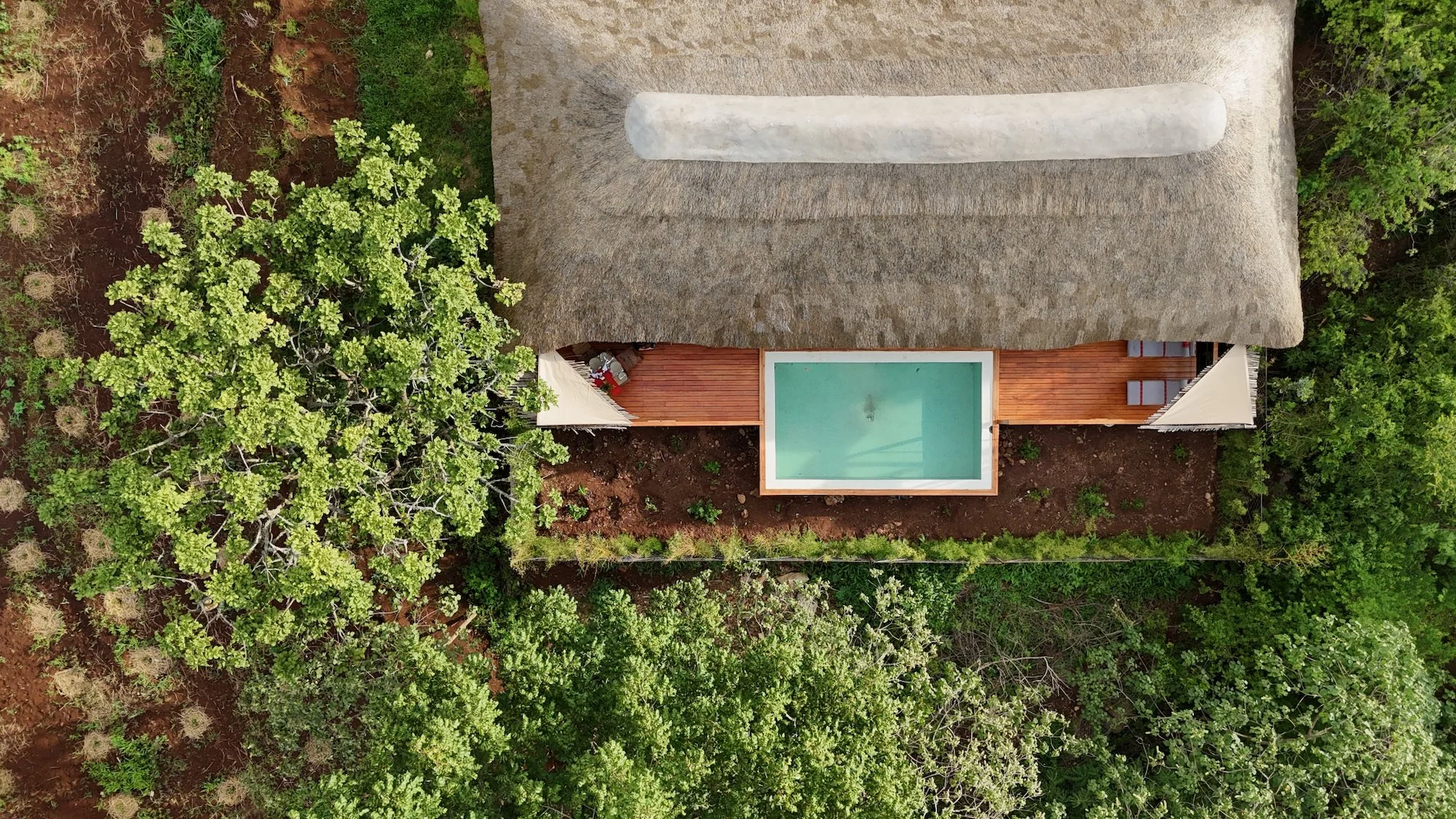 Aerial view of a house with a thatched roof and a rectangular swimming pool on a wooden deck, surrounded by lush green trees and vegetation.