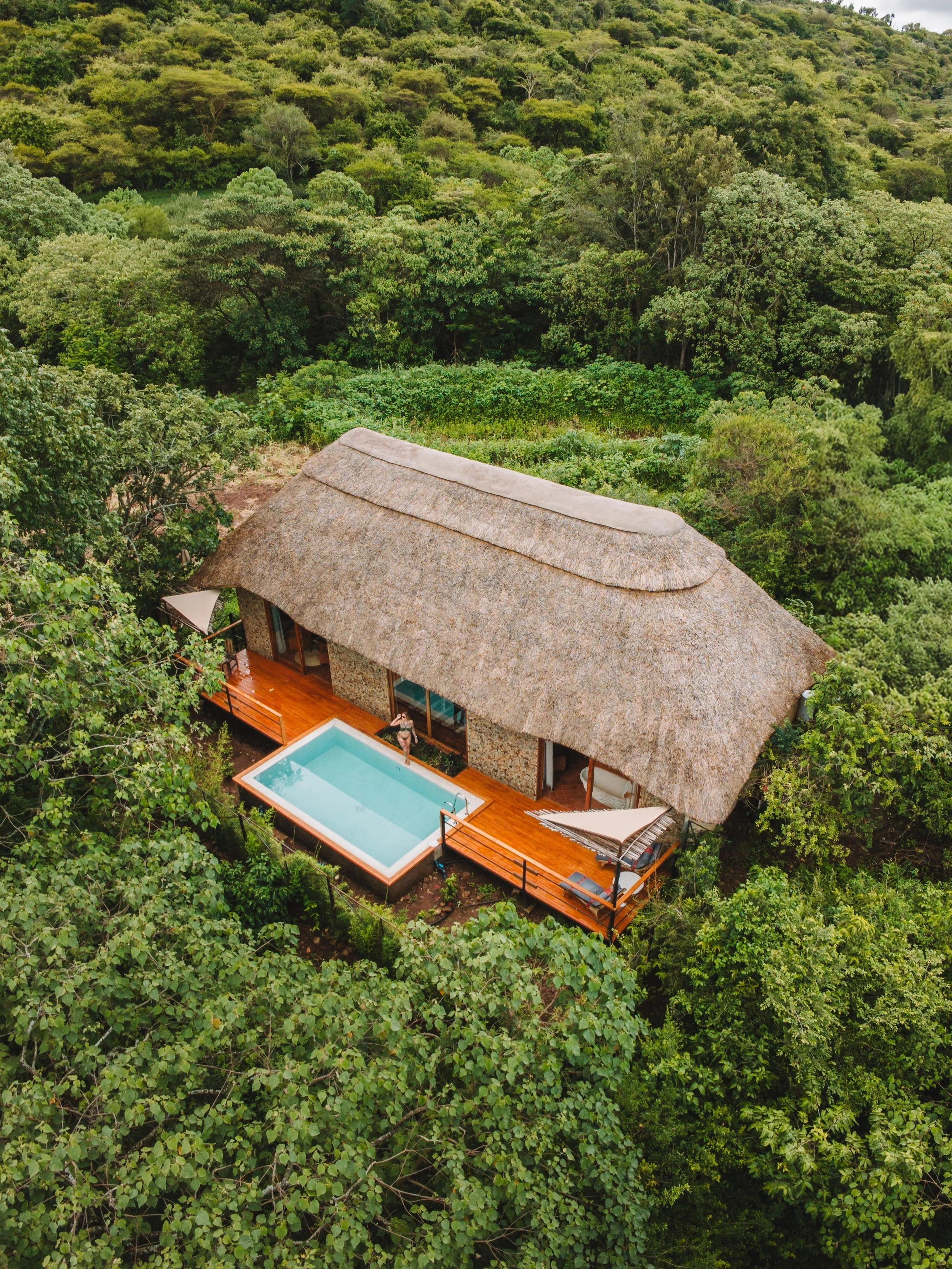 Aerial view of a thatched-roof bungalow with a swimming pool on a wooden deck, surrounded by dense green forest.