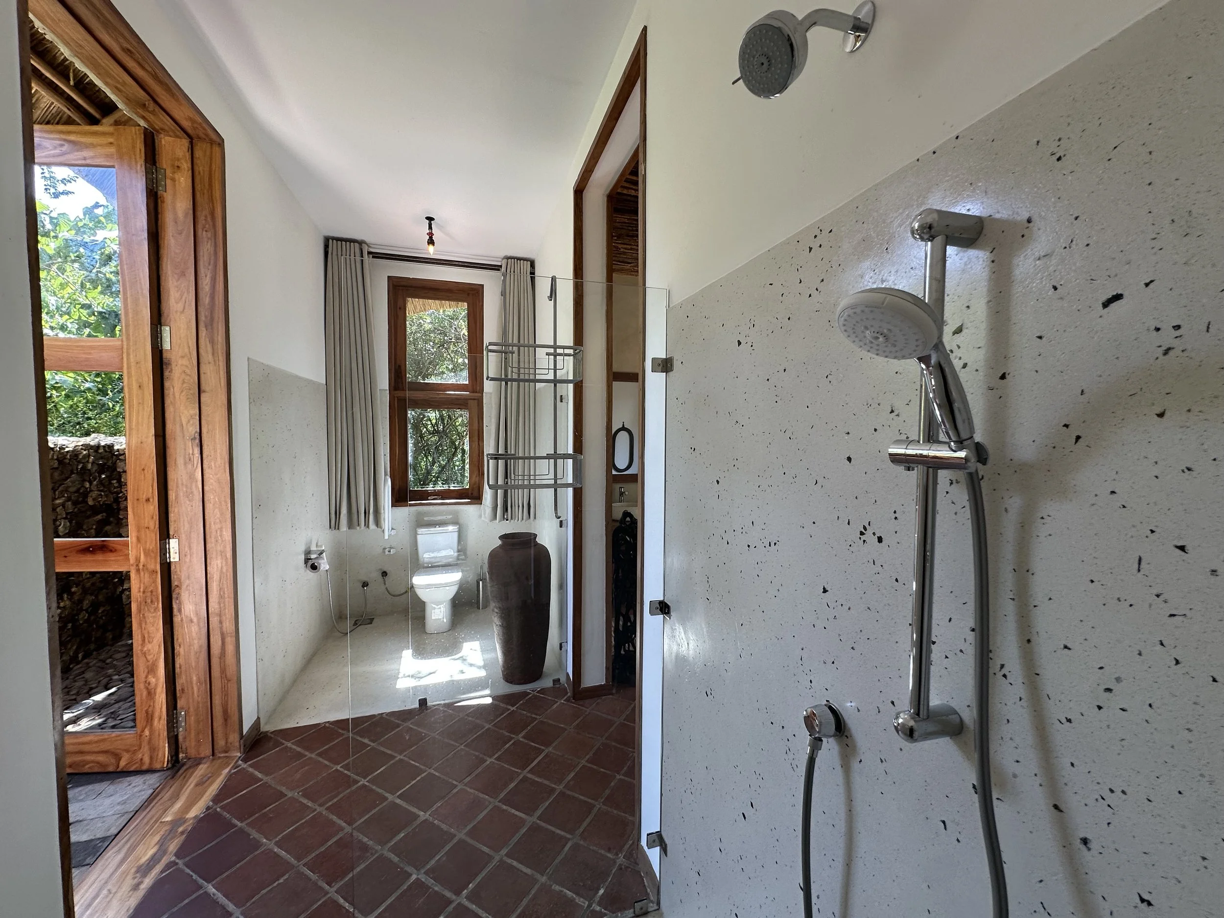 Bathroom with a shower area on the right, a toilet at the back, a large vase, windows with curtains, and an open wooden door leading outside.