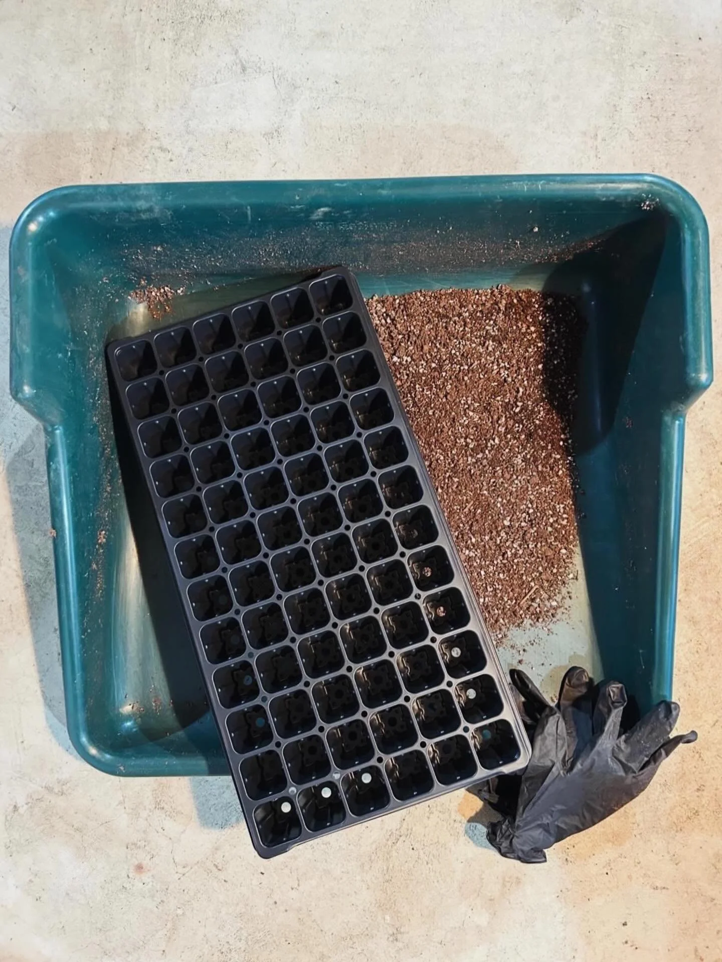 There&rsquo;s no better day for a first post than the first day of spring! We&rsquo;re busy finalizing plans and sowing seeds for the upcoming season. On the back of most seed packets are detailed growing guidelines, especially for when seeds should 