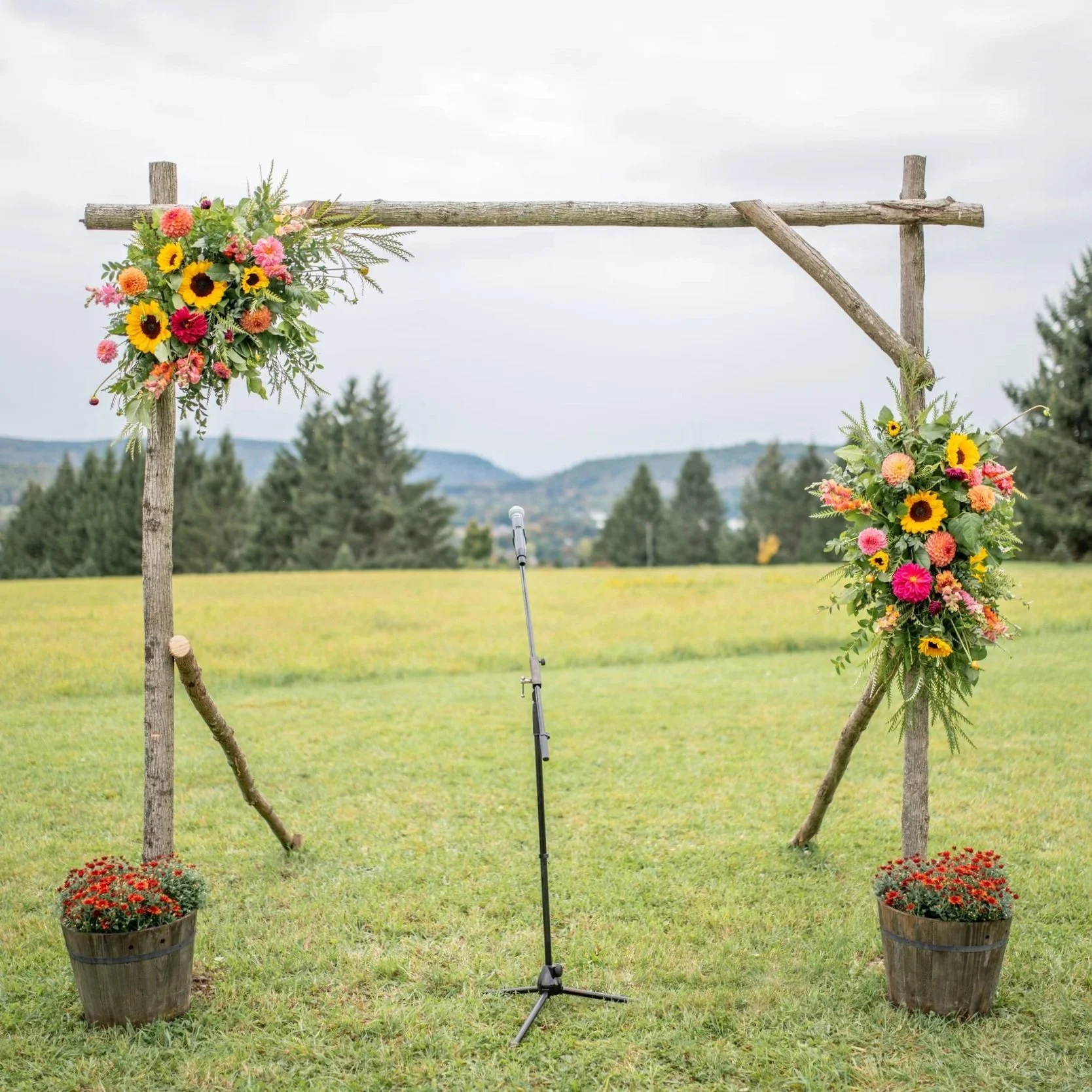 Arbor.jpg