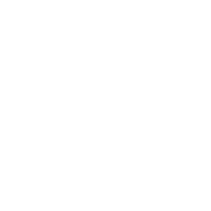 Burton Snowboards