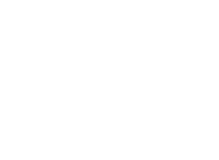 TheSignalWorks