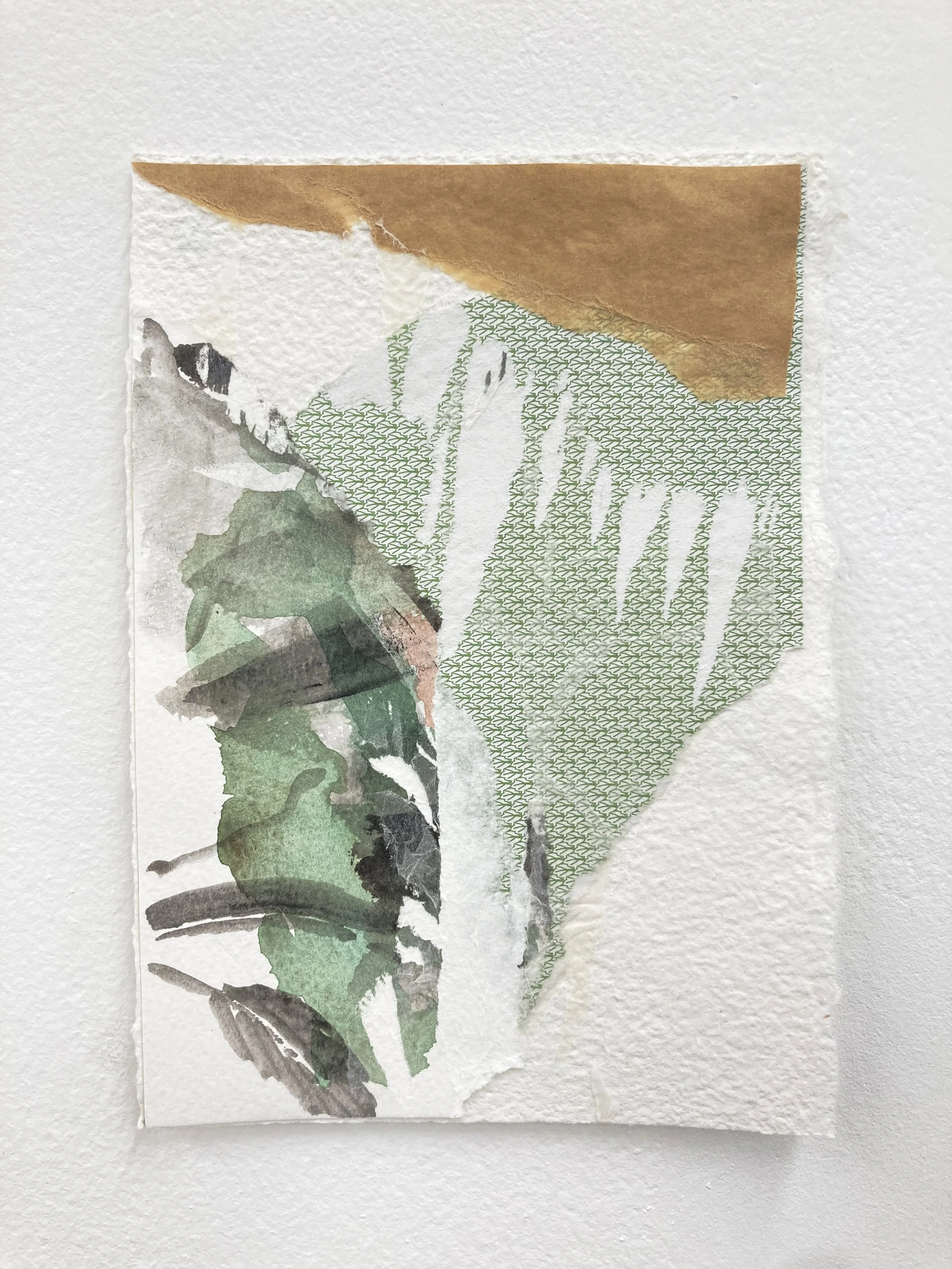 collage_2.jpg