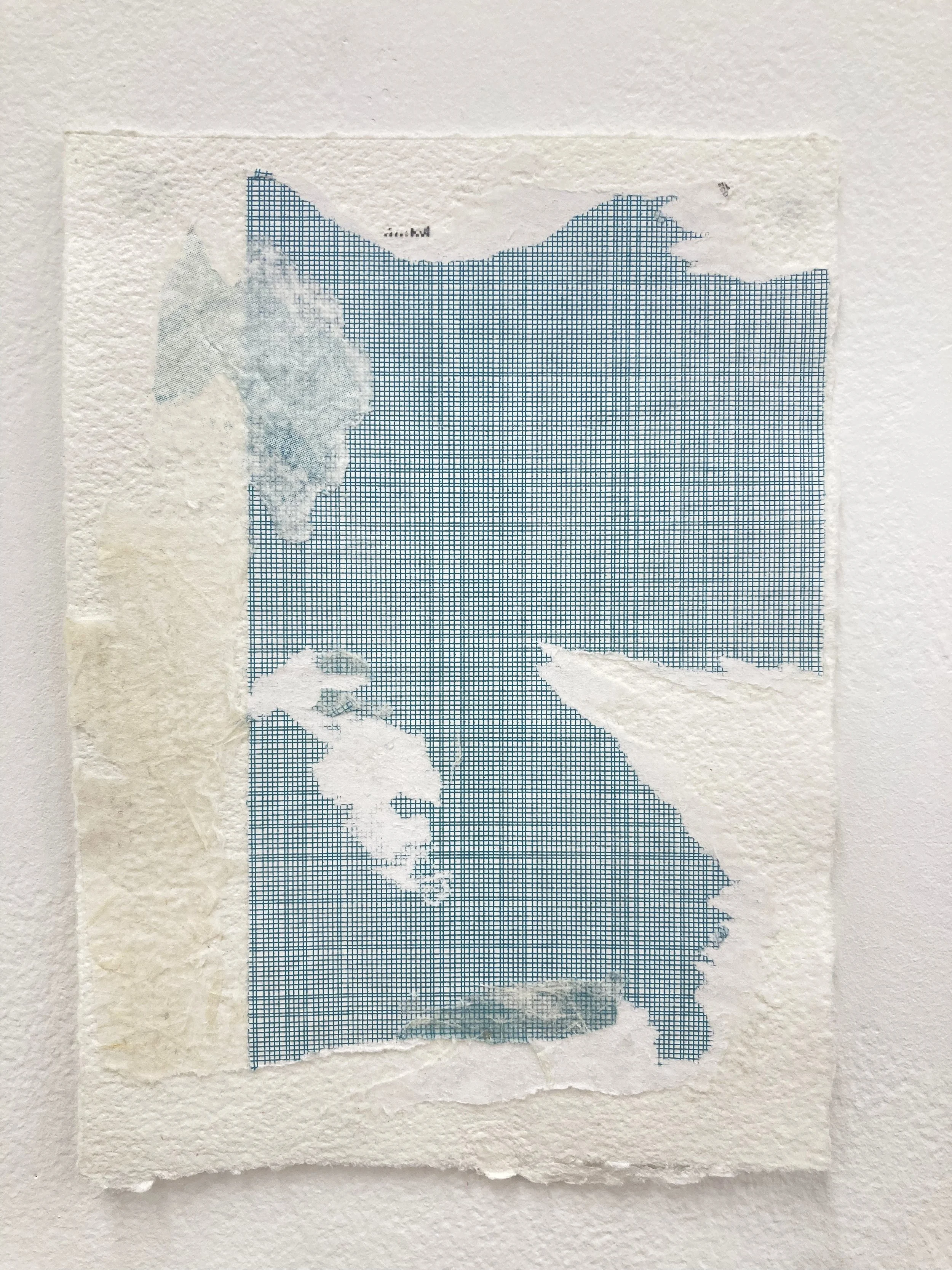 collage_3.jpg
