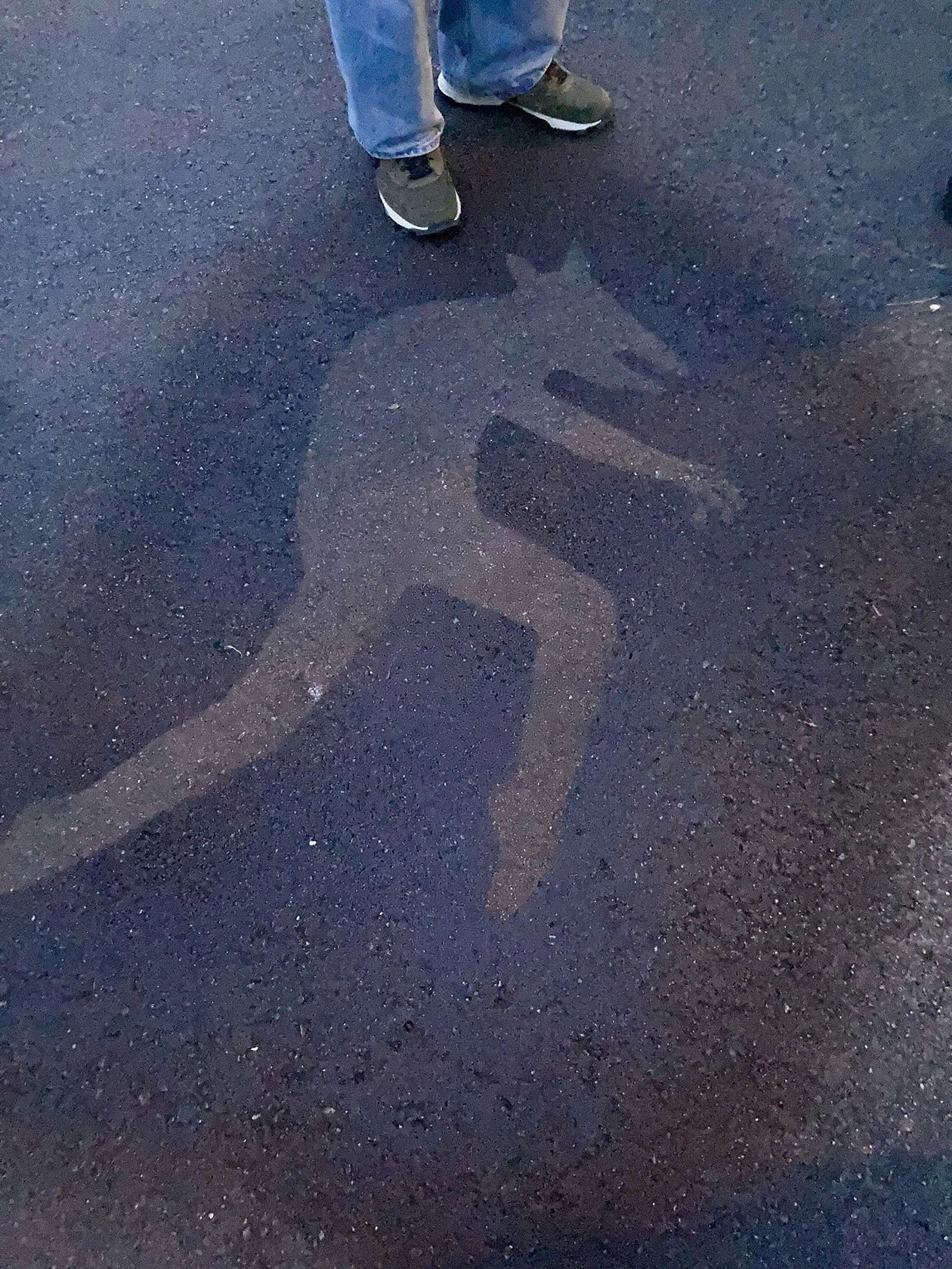 Vesener på Slettebakken