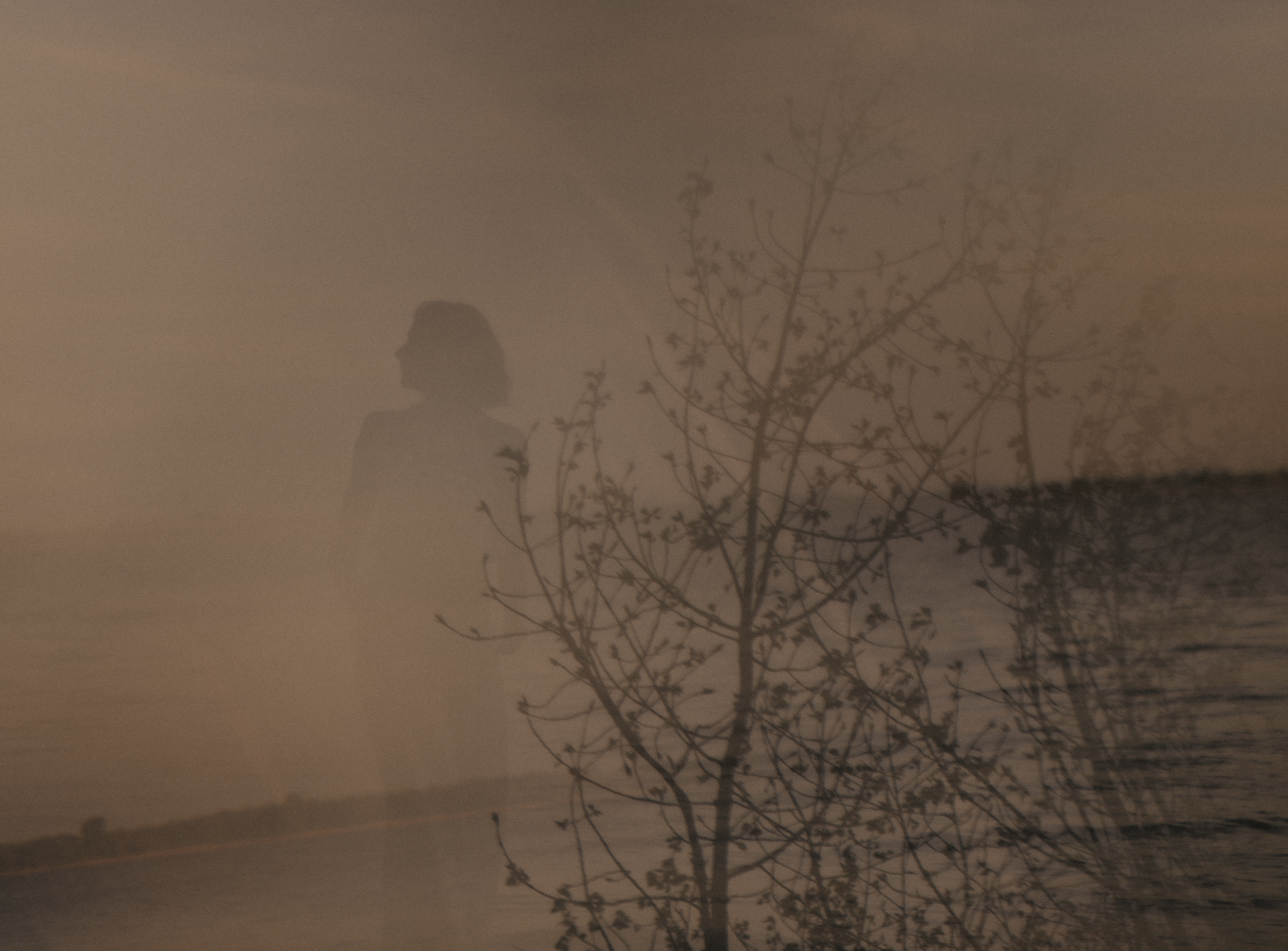 Doppelbelichtung eines Mannes, der auf dem Strand steht, und eines Baumes, bei Sonnenuntergang.