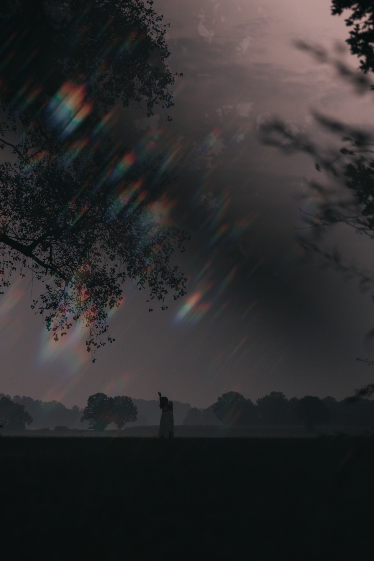 Ein dunkler Himmel mit Regenbogenreflexionen, silhouettierte Bäume und eine Person, die in der Mitte einen Arm hebt