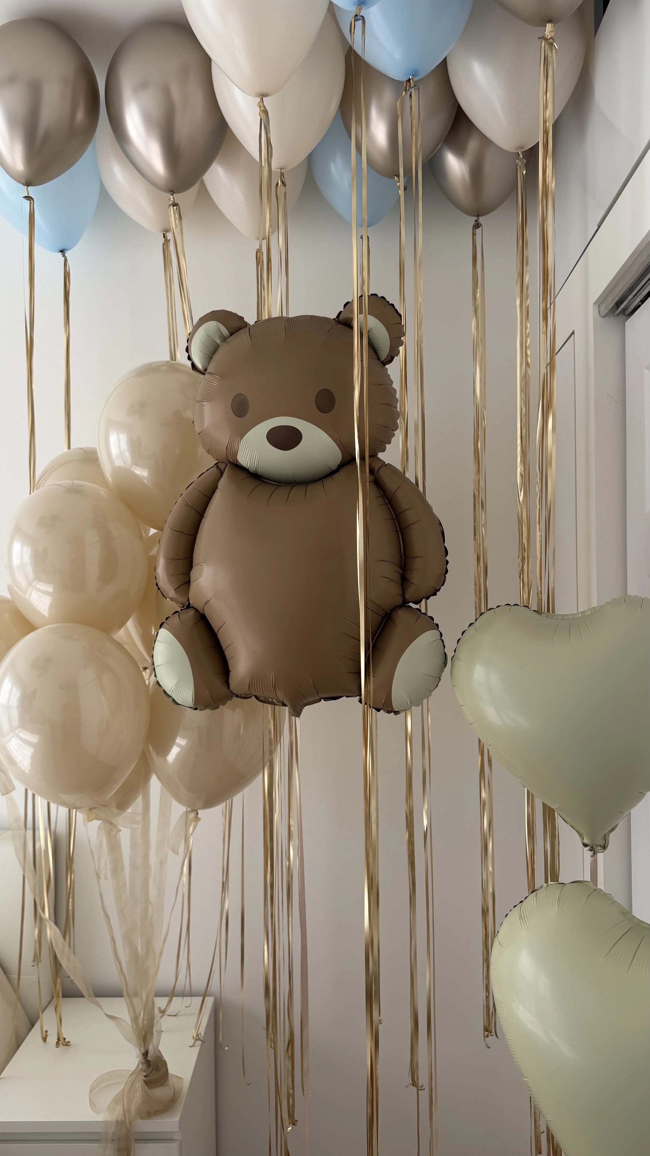 Teddy Bear Balloon Set