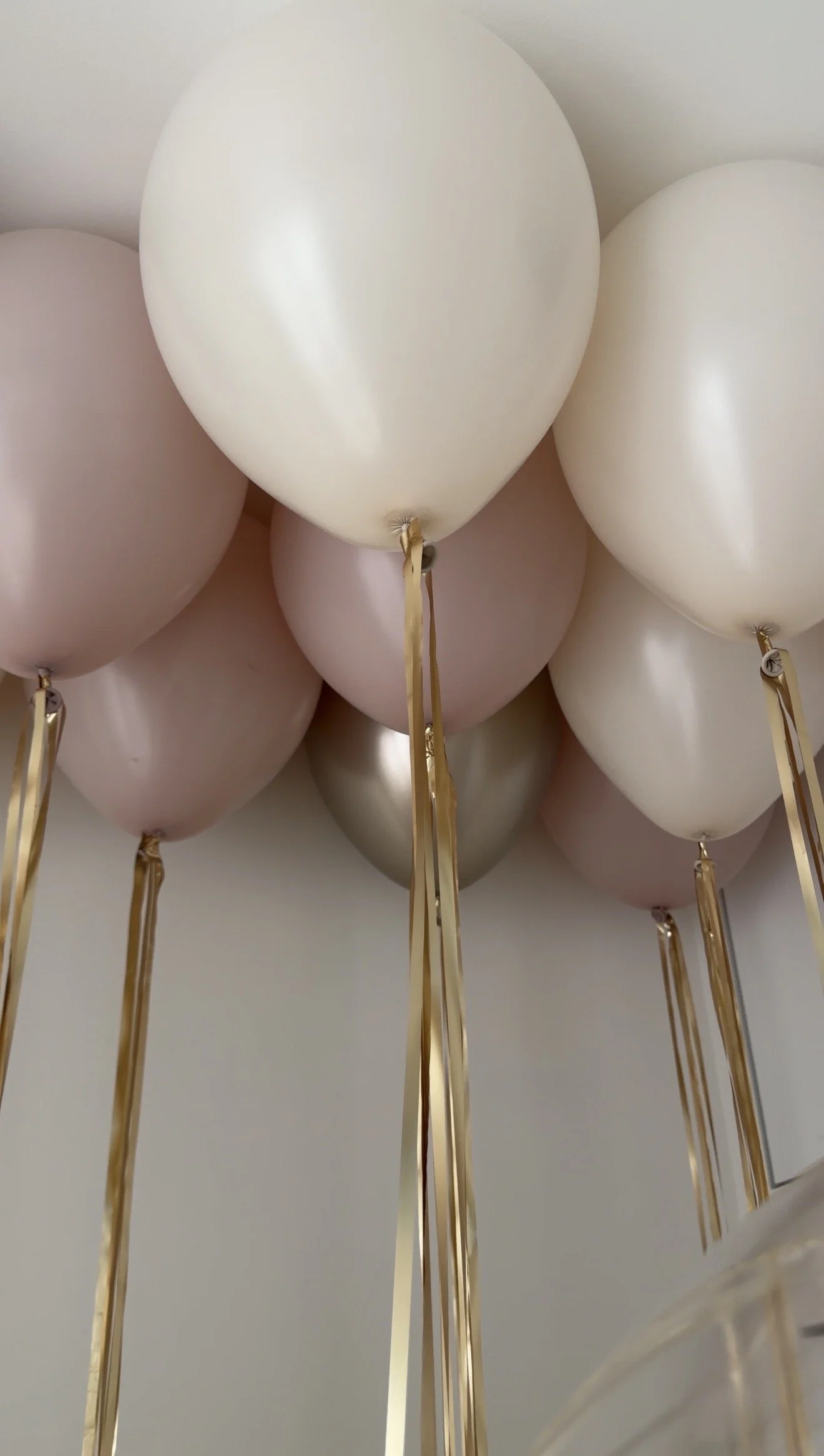 Ceiling Balloon Set (15 Balloons)