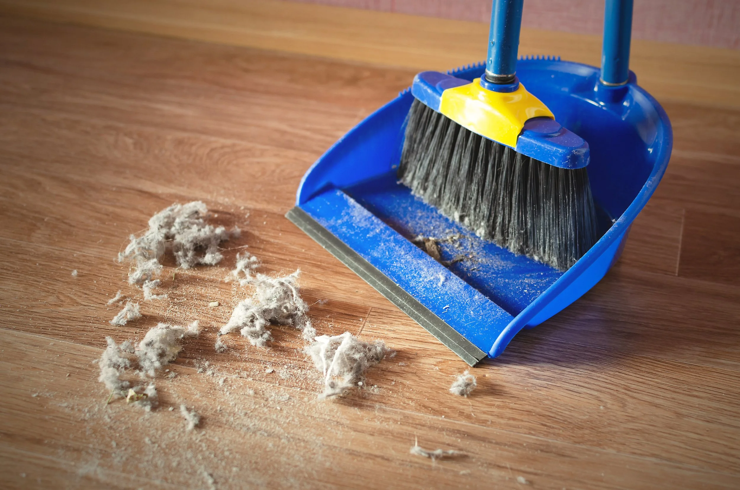 Dustpan and broom on a wooden floor with dust and debris collected in the dustpan.