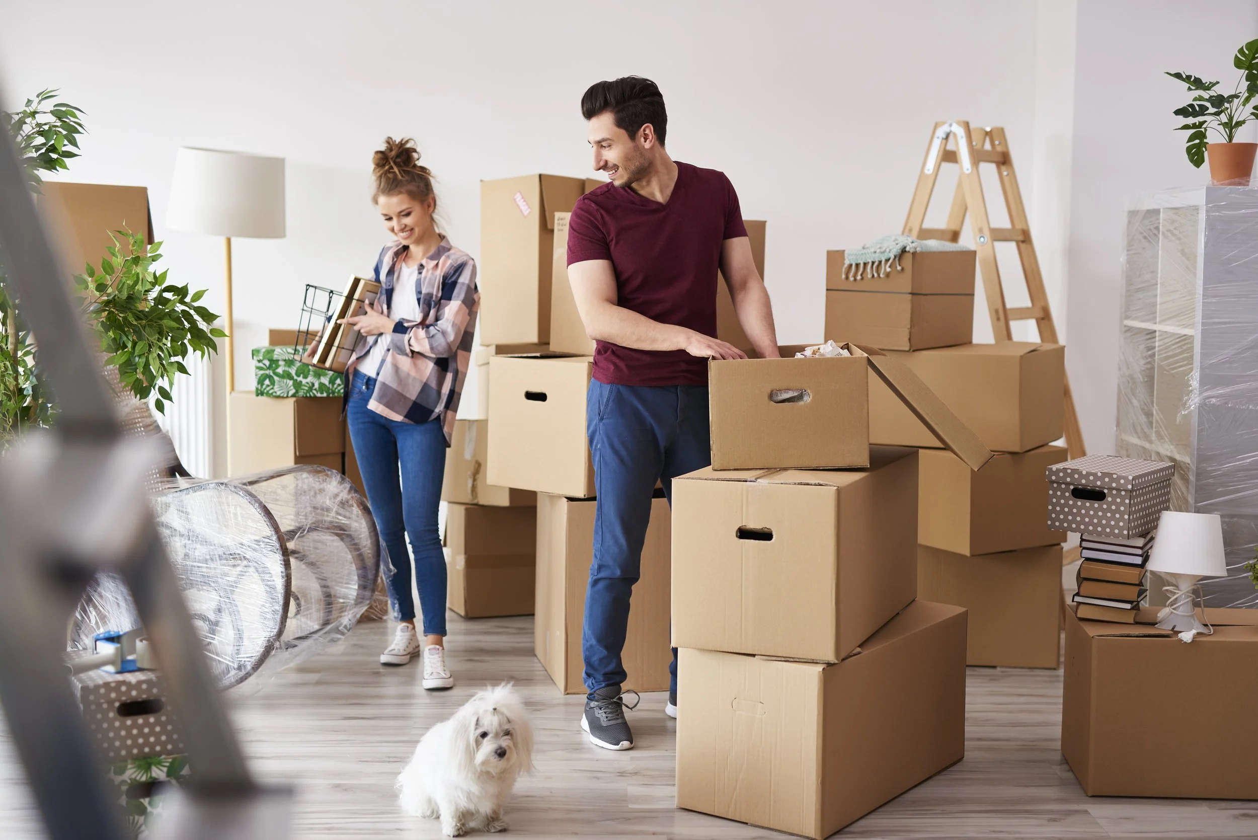 A man and woman packing moving boxes in a room with houseplants and a small white dog.