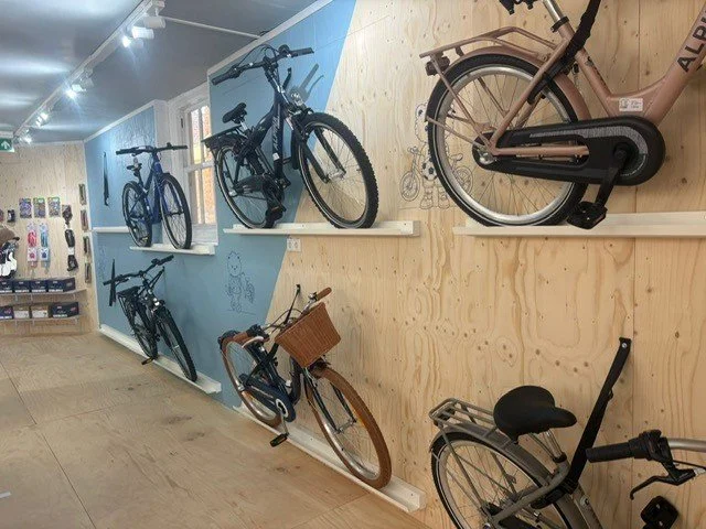 Display of various bicycles mounted on wall in a bike shop.