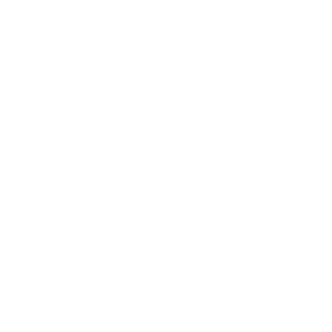 Lightbulb icon with a lightning bolt symbol inside it, representing ideas or innovation.