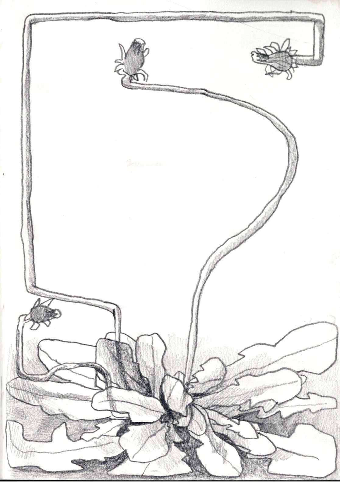 Arthur-Boothby-Drawing-(71).jpg